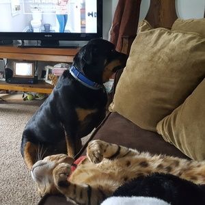 Meet your Posher, Barbara